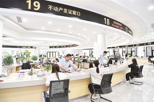 對話丨形成狠抓落實(shí)的好局面——聚焦物業(yè)管理（不含保安服務(wù)）